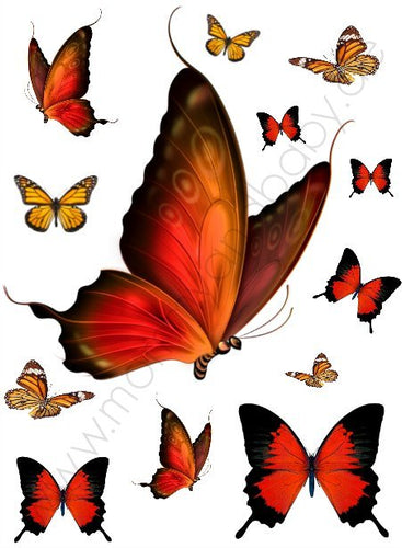 Motivfolie Schmetterlinge sinnlich rot 